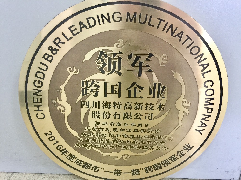 領軍跨國企業(yè)